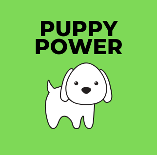PUPPY POWER | UpDog Web